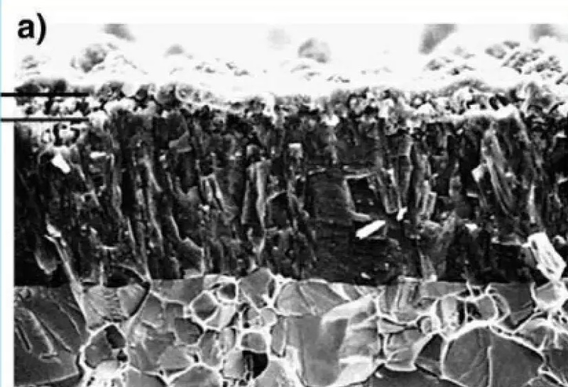 1555395612706457.jpg 9.jpg