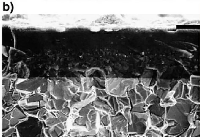 1555395621435820.jpg 10.jpg